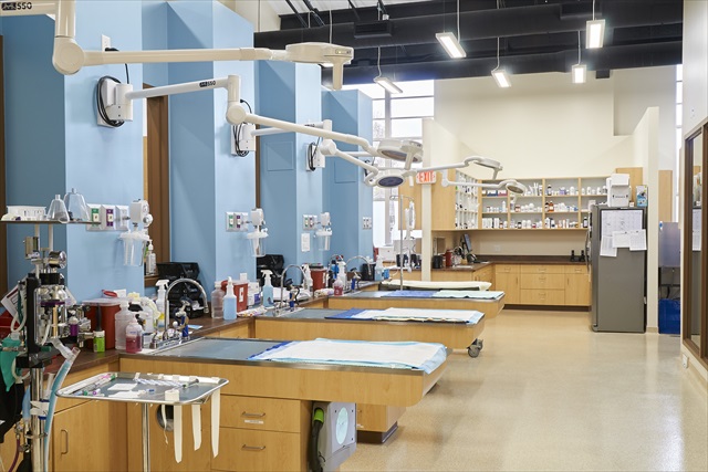 Projects_Shores Veterinary Emergency Center | Professional Design and  Construction